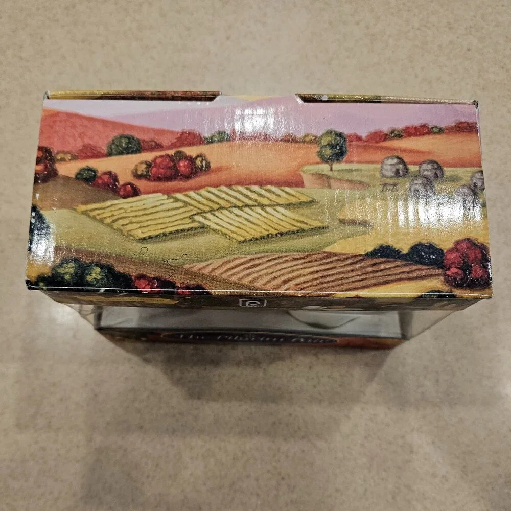 LIMITED PUBLIX CERAMIC THANKSGIVING FALL PILGRIM SALT & PEPPER SHAKERS SET